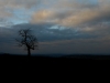 kimg_7158