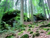 ews_wanderwoche-2021_02