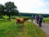 ews_wanderwoche-2021_43