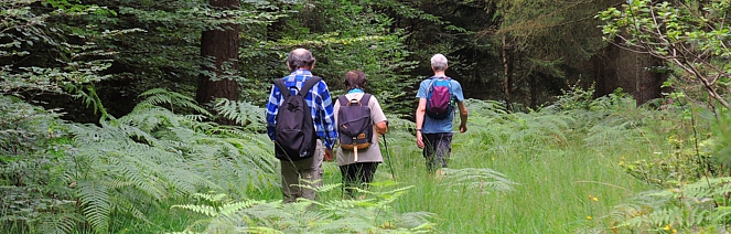 EWS Single-Wanderung "Zum höchst gelegenen Dorf des Saarlandes"