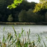 Gut zu_hören! „Am Burbacher Waldweiher“