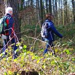 Ruhige EWS-Wanderung „Durch die Stille des Waldes“