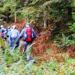 Wanderung der Stadt Völklingen: „In den grünen Norden”