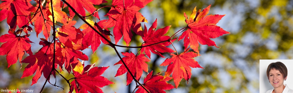 Wandern & Qi Gong der vier Jahreszeiten "Herbst"