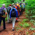 Wanderung der Stadt Völklingen: "Von der Alten Brühl zum Dickenberg”