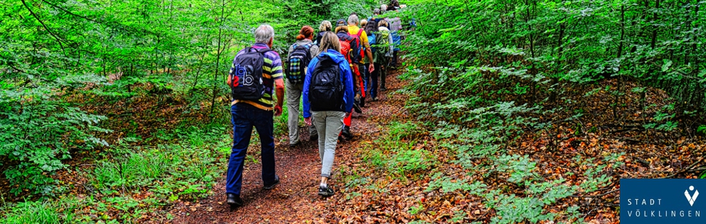 Wanderung der Stadt Völklingen: "Von der Alten Brühl zum Dickenberg”