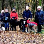 EWS Wandern mit Hund(en)