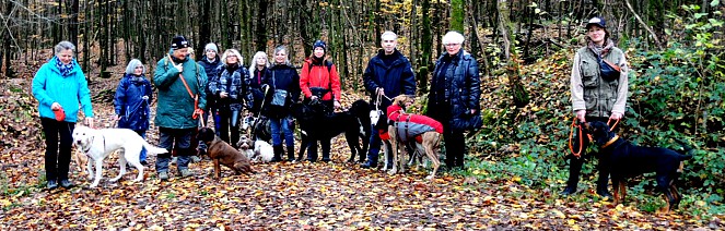 EWS Wandern mit Hund(en)