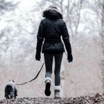 Verschoben! EWS Wandern mit Hund(en)