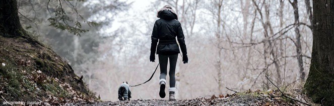 Verschoben! EWS Wandern mit Hund(en)