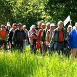 EWS Wanderung "Zum Steinbacher Dorffest"