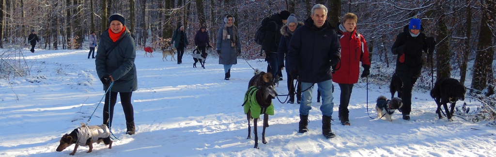EWS Wandern mit Hund(en) bei Saarbrücken