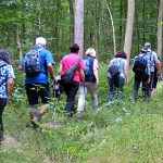 EWS Single-Wanderung bei Völklingen