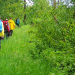 Wanderung der Stadt Wadern: "Rund um Wadern"