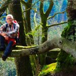 EWS Single-Wanderung "Durch die Stille des Pfälzerwaldes"